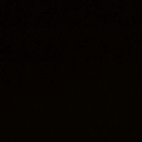 video_stat2