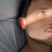 lucazacconii