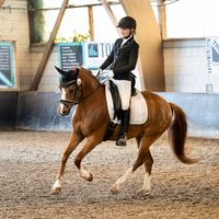 sveja._.equestrian