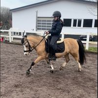 jolanda.und.gwenny