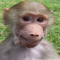 funny augh sound 223