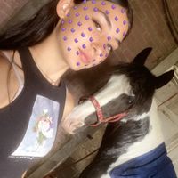 bikes.and.my.horse