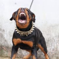 suono originale - N# STUDIO✅