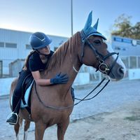 equestrian.filipaa