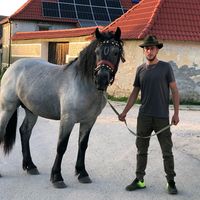 ionutdaniel02