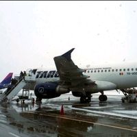 tarom4life