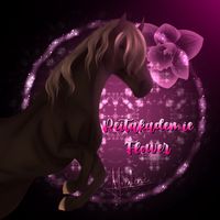 reitakademieflower12