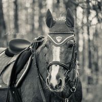ab.fotografie