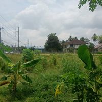 original sound - ณภัทร สุคนธมาส