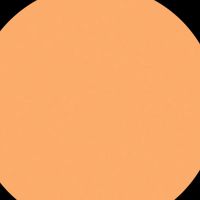 esterakerhielm4