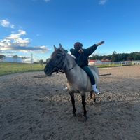 equestrian.maja.m