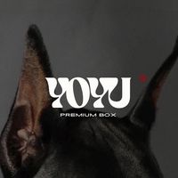 yoyubox