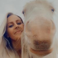 jen.horses.co