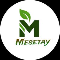 mesetay1396