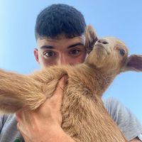 josebustos_24