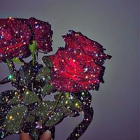 zene_zene_45
