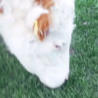 vdhjhoierhf98ufvd89
