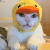 Do you want to use this sound