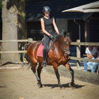 equi.lisaax