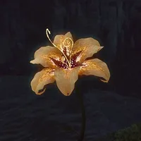 original sound - exhtse