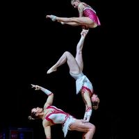 acrogymnast1cs