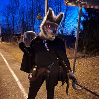 yolomaeddel
