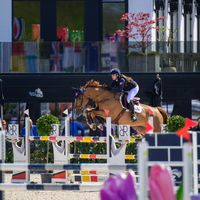 dominican.showjumper