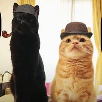 оригинальный звук