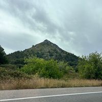 _.koid