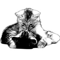 оригинальный звук - krazy1447r