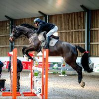 l.dominatrice.des.brumes