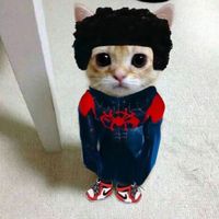 original sound - Mromy