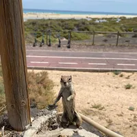 original sound - celine.jjc