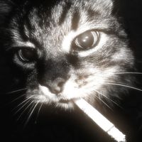 original sound - augz