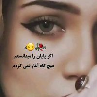 shabir.ahmad407