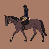 dressagelori