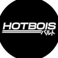 baltic.hotbois