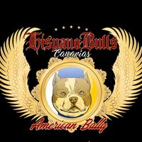 hispano_bulls_canarias