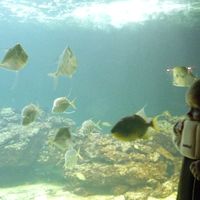 video games issy YUH