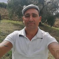 florin8337