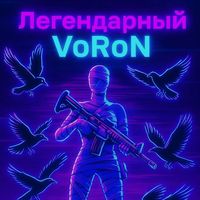 tt_voron_metro