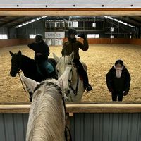 gp.equestrainstables