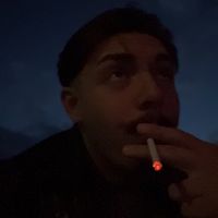 ginoarman