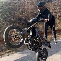 fultiman