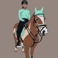 horse._.drawings