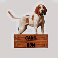 bem_tivi_da_mata