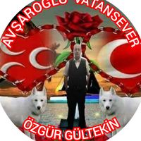 orijinal ses