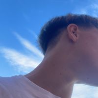 trist_humme