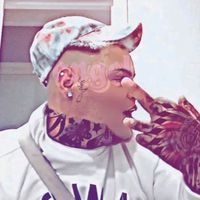 elruineroo