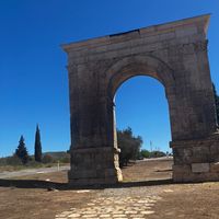 Y r so many people using my sound